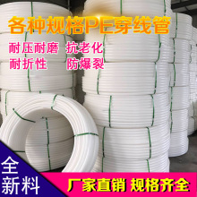 人类笼中大战机器人铁血战士：机器人一套组合拳KO对手 还不忘耍帅